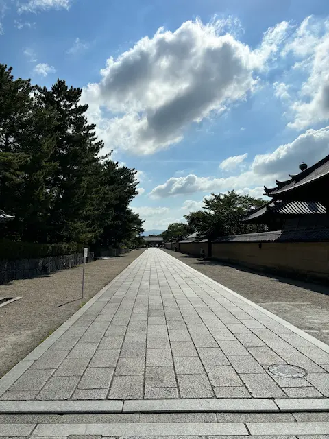 古い石畳の道と青空が広がる景色、左側には木々が立ち並ぶ
