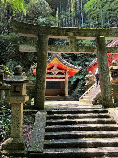 緑の竹林に囲まれた神社の鳥居と階段。背後には赤い屋根の社が見える。